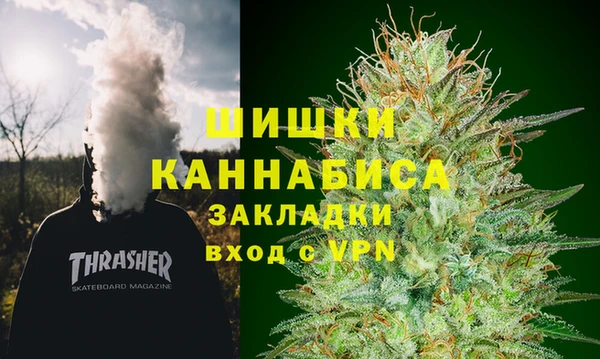 ГАЛЛЮЦИНОГЕННЫЕ ГРИБЫ Аркадак