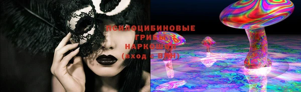 соль ск Арсеньев