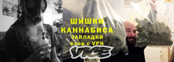 ГАЛЛЮЦИНОГЕННЫЕ ГРИБЫ Аркадак