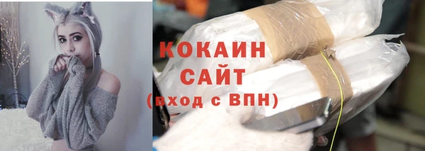 соль ск Арсеньев